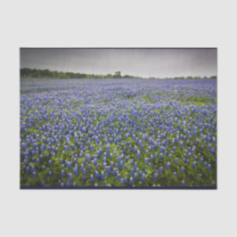 Blaue Frühlingbluebonnet-Feld-Texas-Staats-Blume Seidenpapier