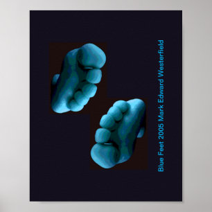 Blaue-Füße-Kunstposter Poster