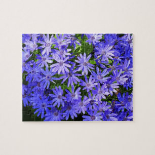 Blaue Gänseblümchen-ähnliche Blumen Naturfotografi Puzzle