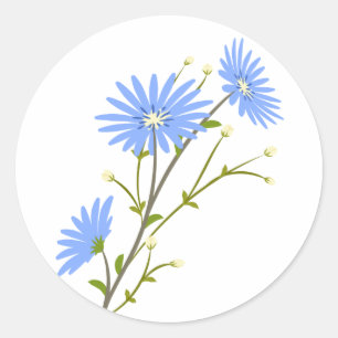 Blaue Gänseblümchen-Blumen-Hochzeit Margeriten Runder Aufkleber