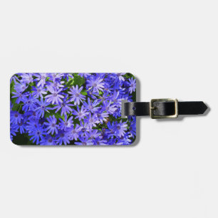 Blaue Gänseblümchenartige Blumen Naturfotografie Gepäckanhänger