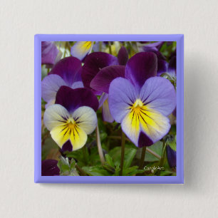 blaue gelbe lila Violas 7a Button