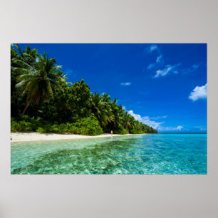 Blaue Gewässer eines tropischen Strandes Poster