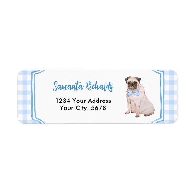Blaue Gingham-Hund-Junge-Adresse (Vorne)