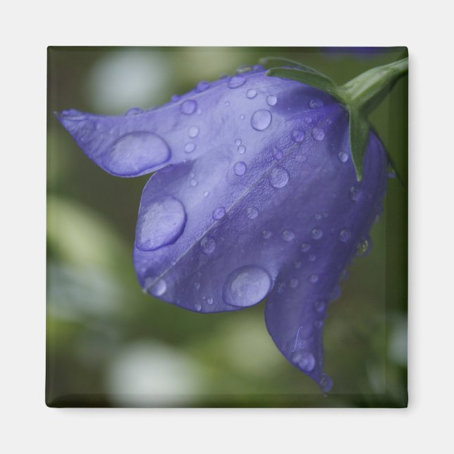 blaue Glocke Magnet (Vorne)