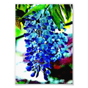Blaue Glyzinien Fotodruck