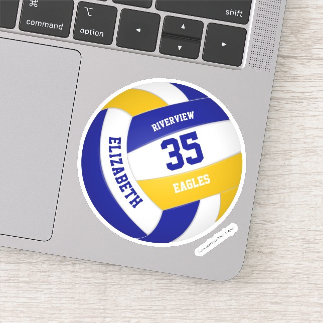 Blaue Goldmannschaft - Jungs-Volleyball Aufkleber (Detail)