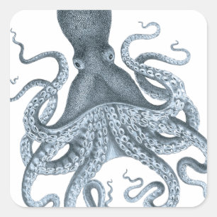 Blaue graue Vintage-Oktopus-Illustration Quadratischer Aufkleber