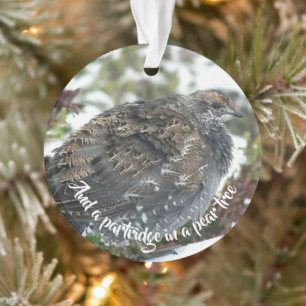 Blaue Grouse im Schneeschuhwandern Ornament