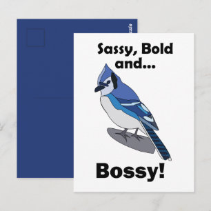 Blaue Häher-Freche-Kecke-Chefin-Vogel-Geburtstag Postkarte