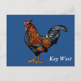 Blaue Hahn-Key West-Postkarte Postkarte