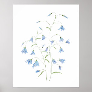 Blaue Harebell-Blume 2021 Aquarell Poster