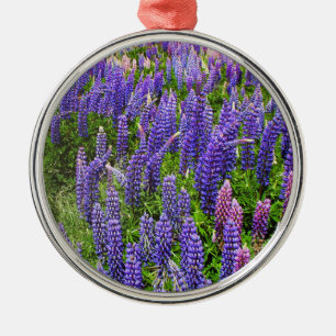 Blaue Hauben Blaue Blumen Texas Texan Lupine Ornament Aus Metall