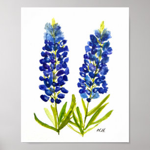 Blaue Hauben Texas State Blumen Lupine Aquarell Poster
