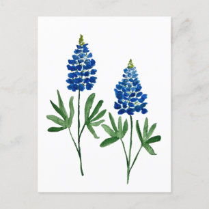 Blaue Hauben Texas State Blumen Lupine Aquarell  Postkarte