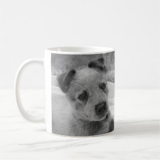 BLAUE HEELER TASSE