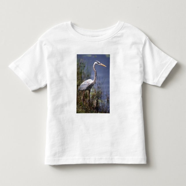 Blaue Herbergsvogel Kleinkind T-shirt (Vorderseite)