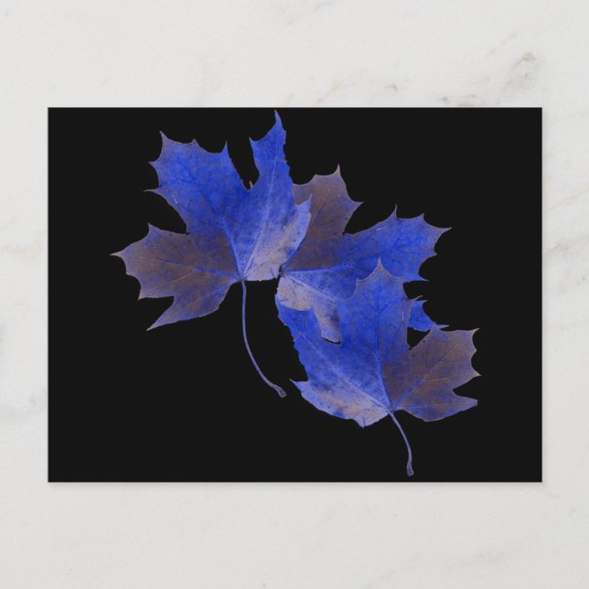 Blaue Herbstleaves Postkarte (Vorderseite)