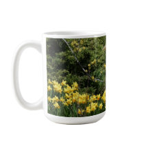 Blaue Herde mit Daffadoils