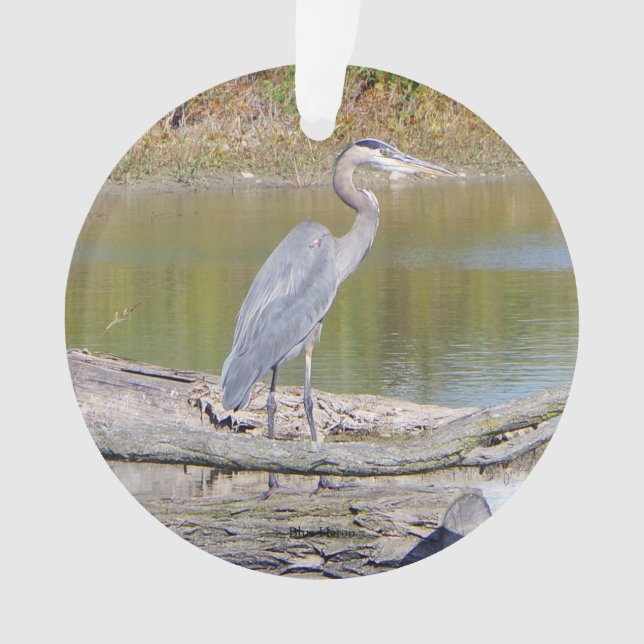 Blaue Heron-Doppelschicht Ornament (Vorderseite)