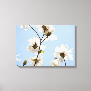 Blaue Himmel-Fine-Art-Drucke Weiße Magnolienblüten Leinwanddruck