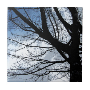 Blaue Himmel und Alte Bäume Kunst Fliese
