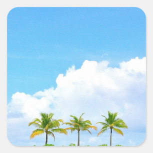 Blaue Himmel Wolken Und Palmen Leere Vorlage Quadratischer Aufkleber