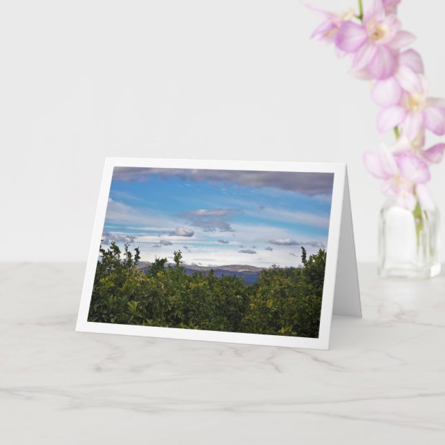 Blaue Himmelsberge Landschaft Karte (Orchidee)