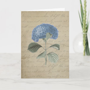 Blaue Hortensie im Vintage-Stil mit antiker Kallig Dankeskarte