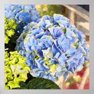 Blaue Hortensie - malerische botanische Studie Poster