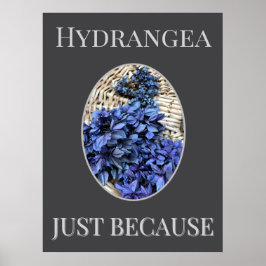 Blaue Hortensie Poster