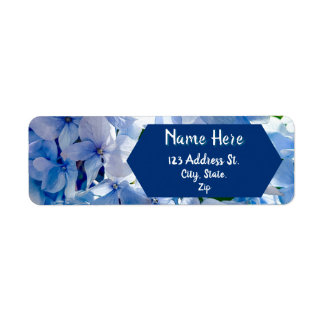 Blaue Hortensien Benutzername