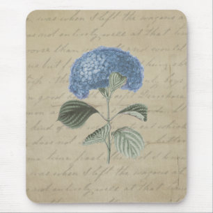 Blaue Hortensien-Blumen in antiker Kalligrafie Mousepad
