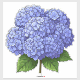 🌸 Blaue Hortensien-Blüten-Cluster-Garten 🌸 Aufkleber