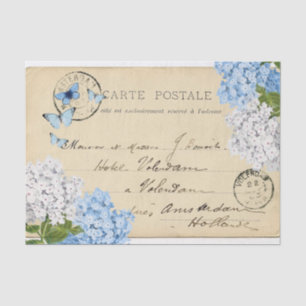 Blaue Hortensien Paris Postkarten Seidenpapier
