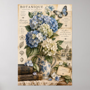 Blaue Hortensien-Schmetterling-Botanik-Wandbild im Poster