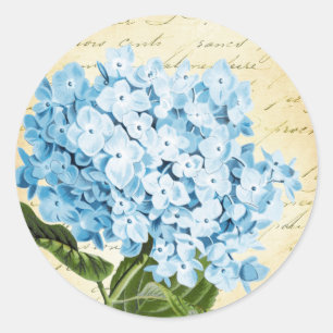 Blaue Hortensienblüte Vintage Botanik Runder Aufkleber