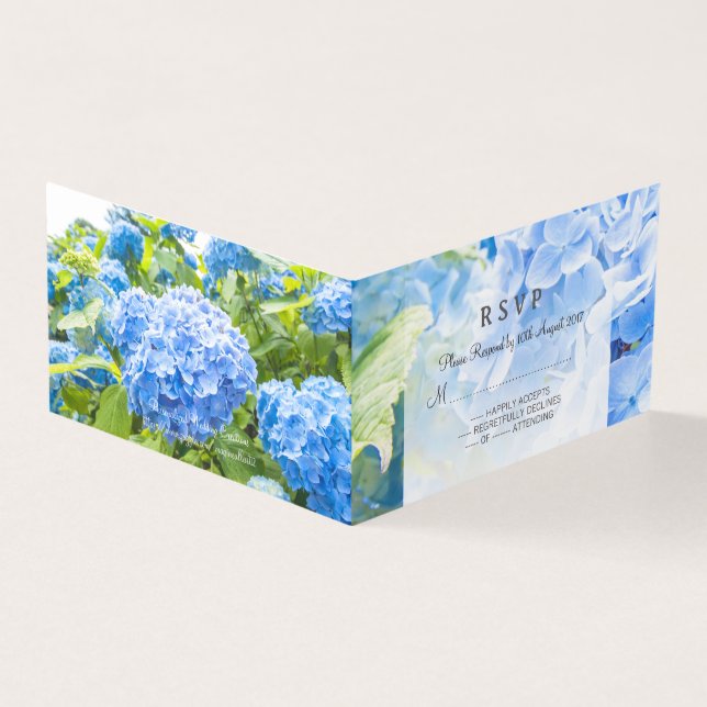 Blaue Hydrangea (Vorderseite)