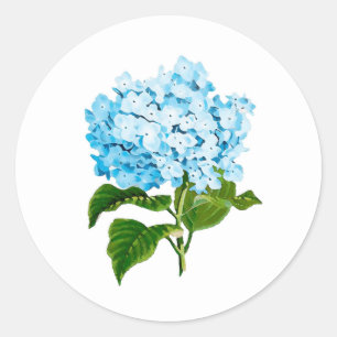 Blaue Hydrangea-Aufkleber Runder Aufkleber