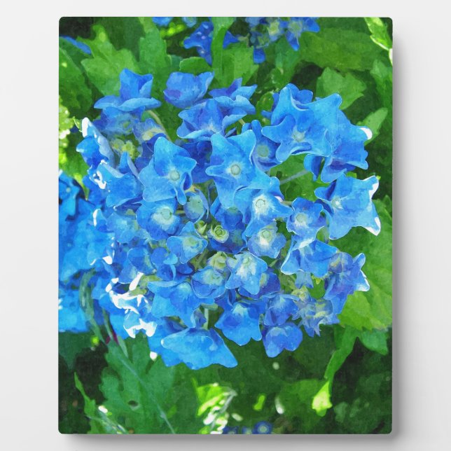 Blaue Hydrangea-Blume. Blumenfotografie. Fotoplatte (Vorderseite)