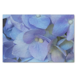 Blaue Hydrangea-Blume Seidenpapier