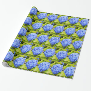 Blaue Hydrangea Geschenkpapier