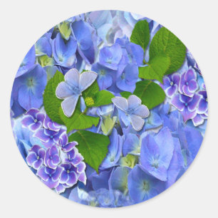 Blaue Hydrangeas und Schmetterlinge Runder Aufkleber