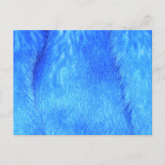 Blaue Imitate für Postkarte