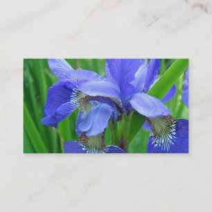 Blaue Iris-Blume Visitenkarte