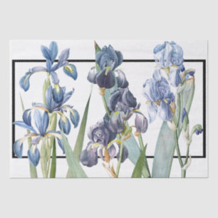 Blaue Iris-Blumen Redoute Blumenseidenpapier Seidenpapier