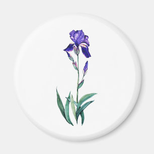 Blaue Iris durch PMACarlson Magnet
