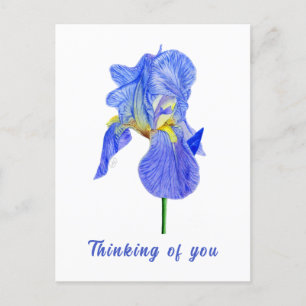 Blaue Iris In Gedanken bei Dir Postkarte