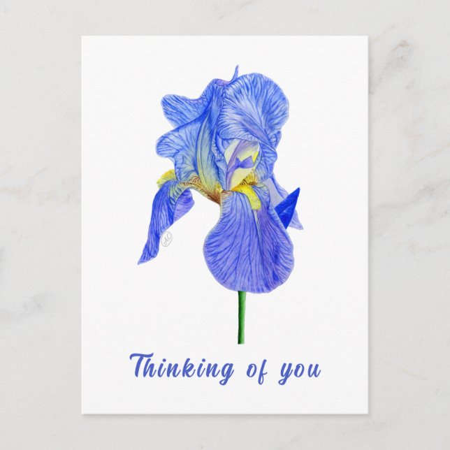 Blaue Iris In Gedanken bei Dir Postkarte (Vorderseite)