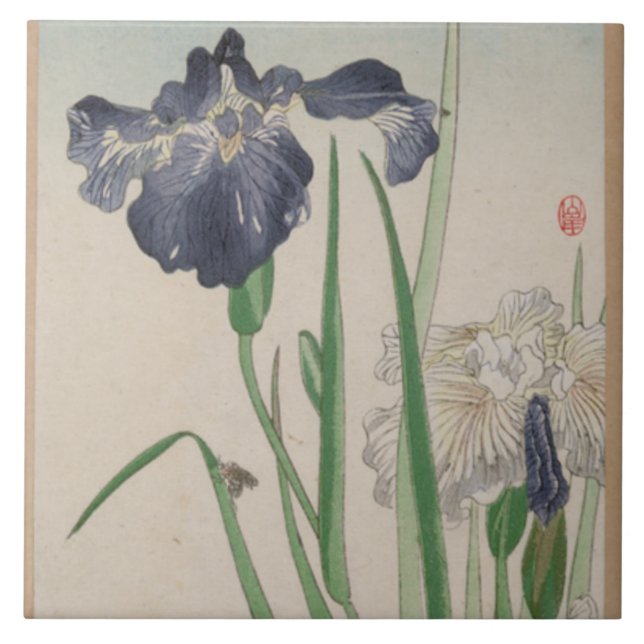 Blaue Iris-Keramik-Fliesen Fliese (Vorderseite)